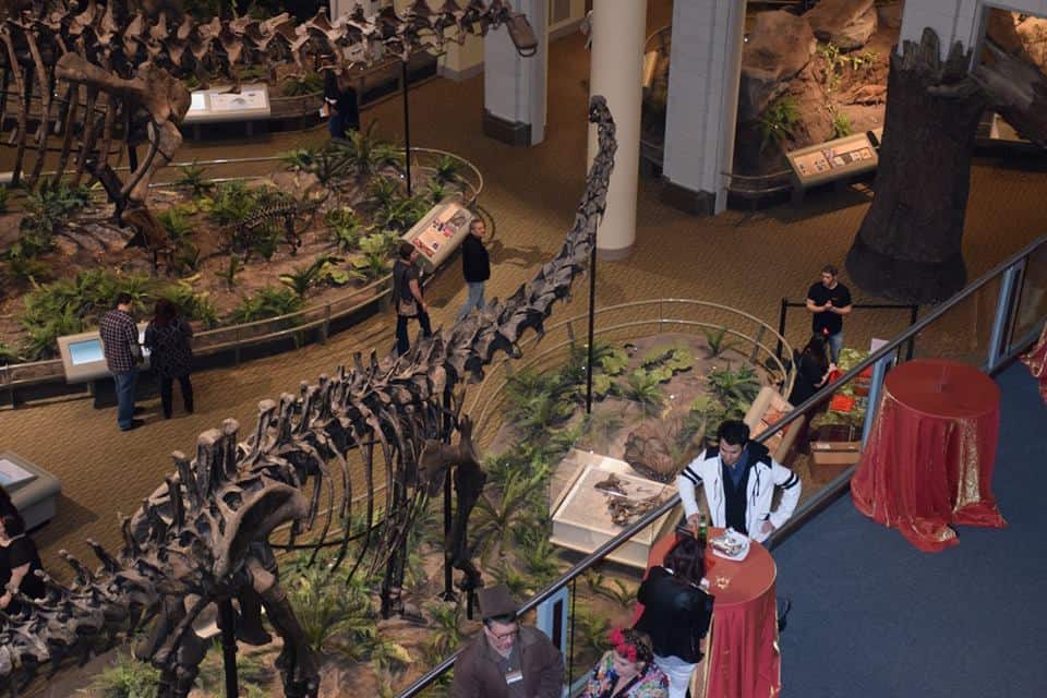 image via Carnegie Museum of Natural History