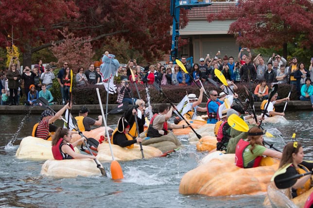 Pumpkin race-Monsterpumpkin.com