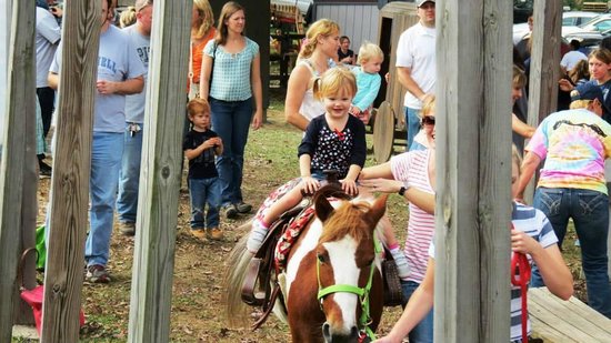 Soergels Pony Rides- tripadvisor
