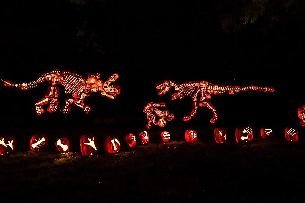 TheGlowJackOLantern.com (5)