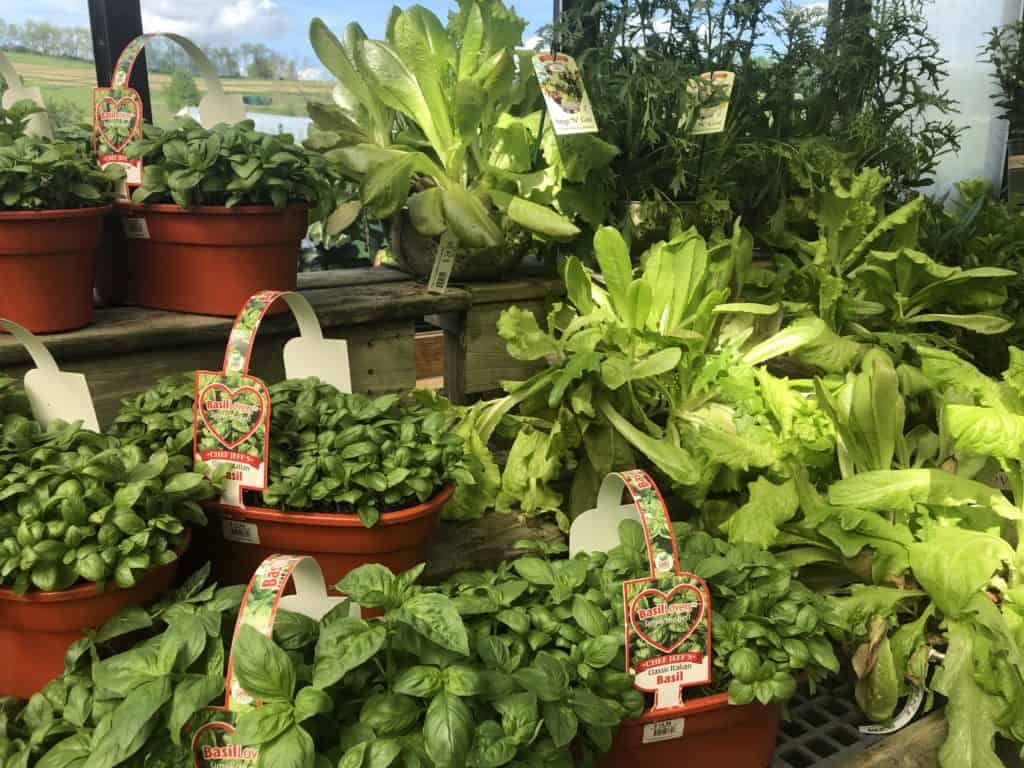 Urban Gardening Trax Farms