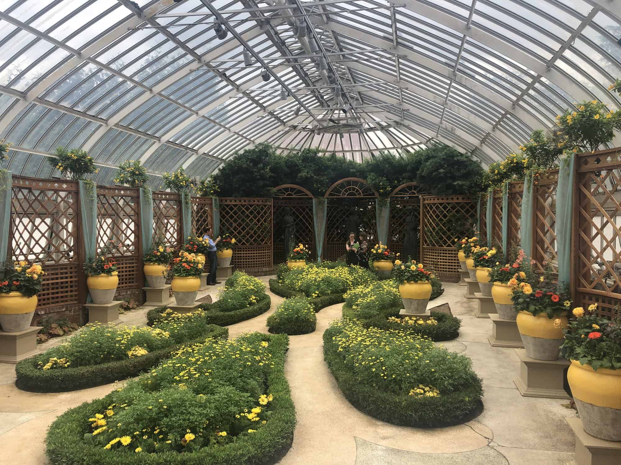 Van Gogh Phipps