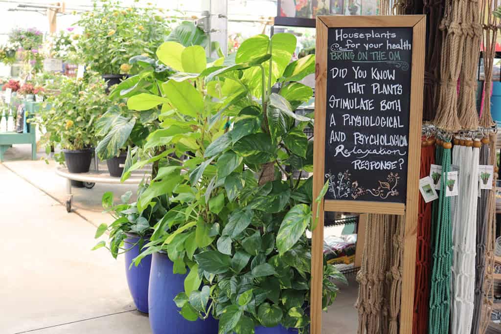 Bedner's Farm and Greenhouse plants