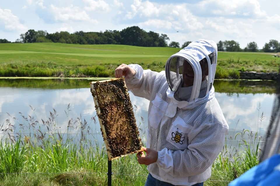Apiaries Pittsburgh