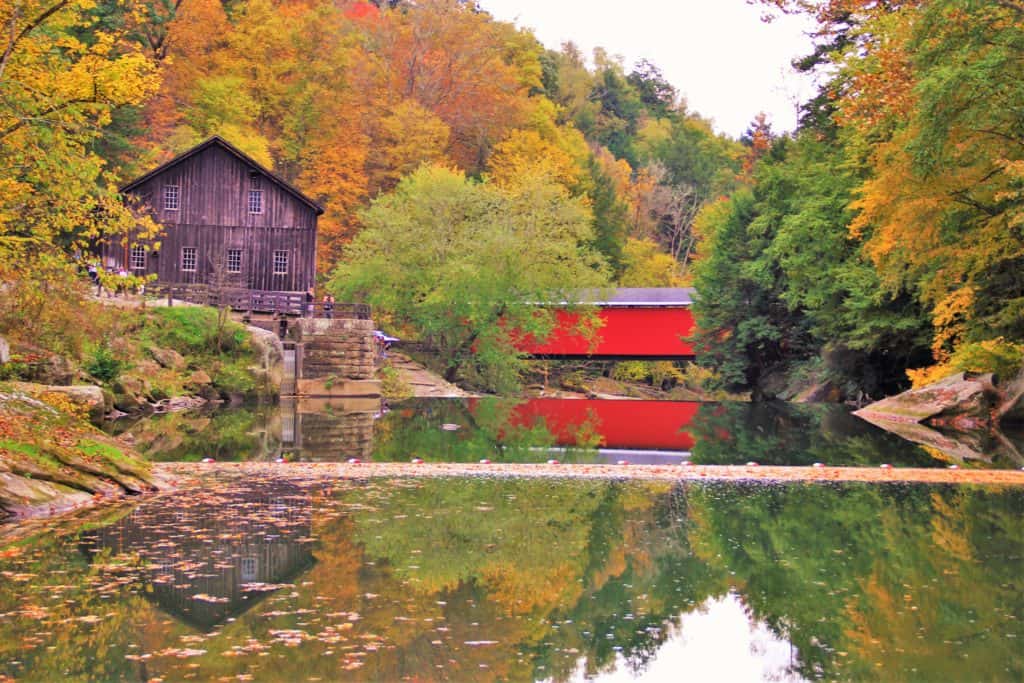Fall foliage pittsburgh