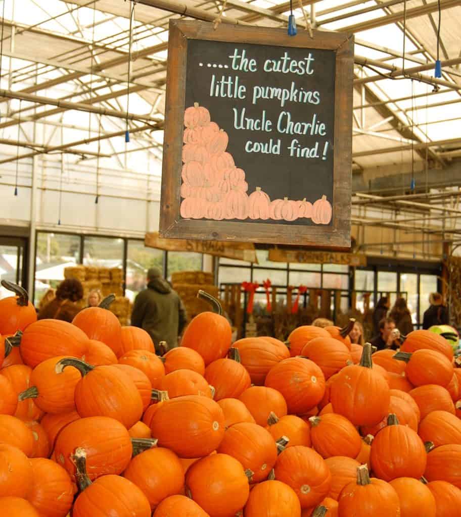 Locally owned locally grown