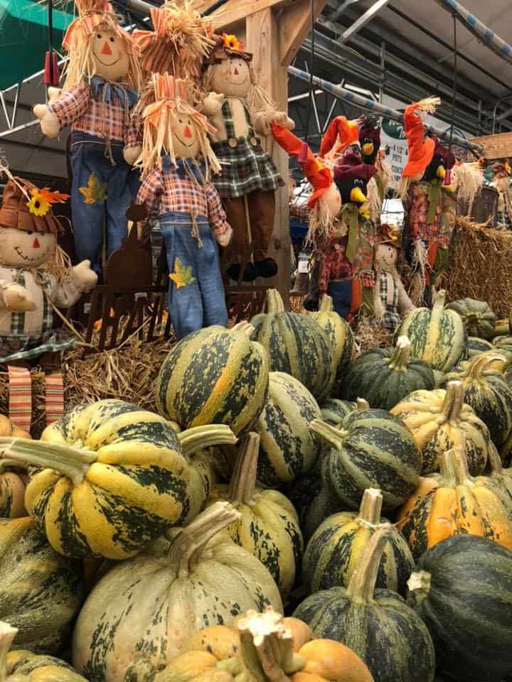 locally owned, locally grown Bedner's