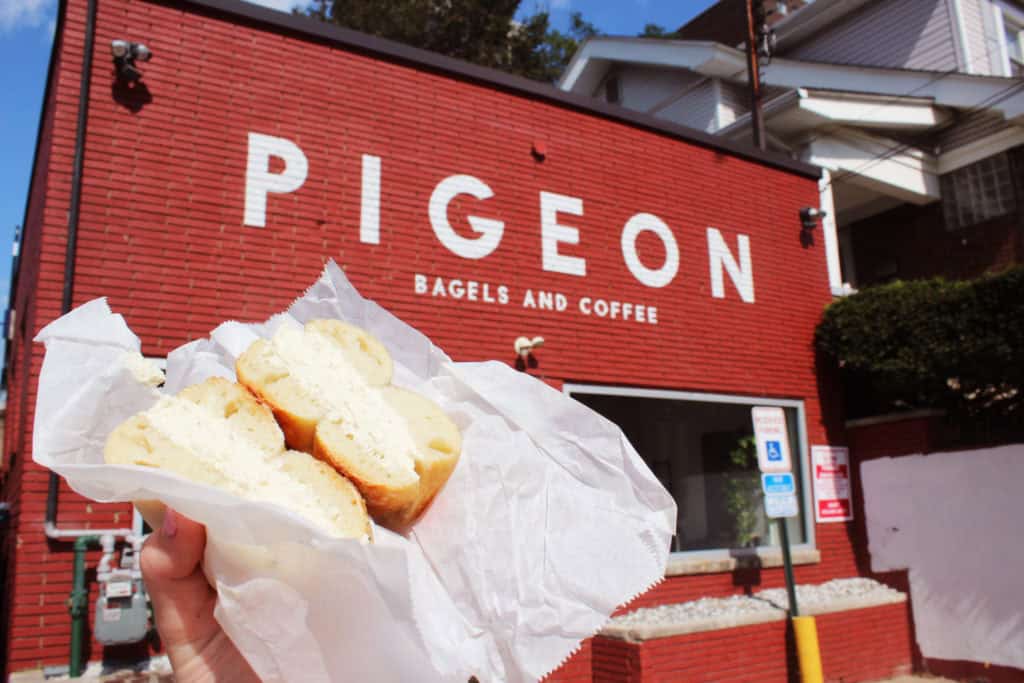 Pigeon Bagel