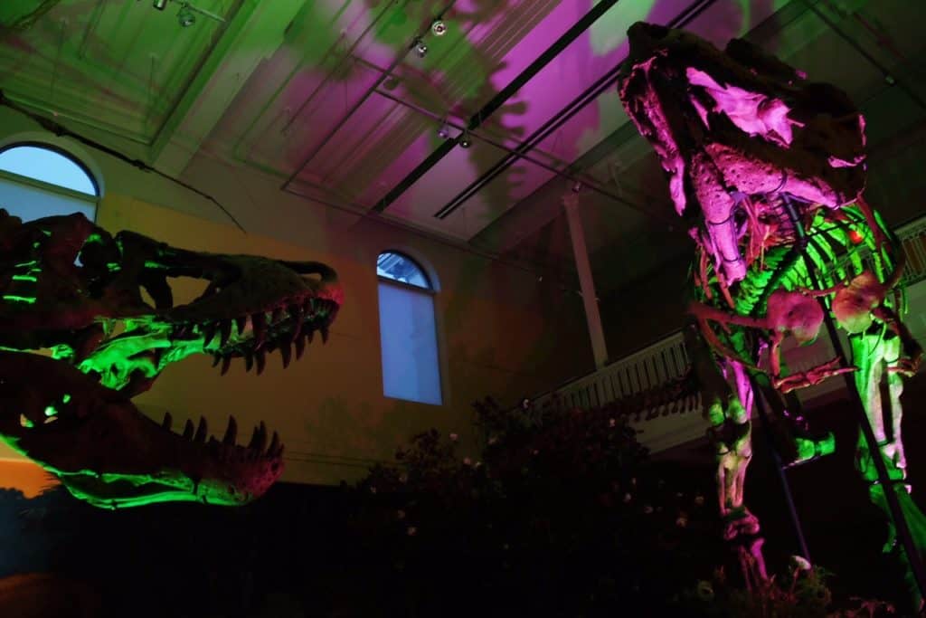 Carnegie Museum of Natural History After Dark
