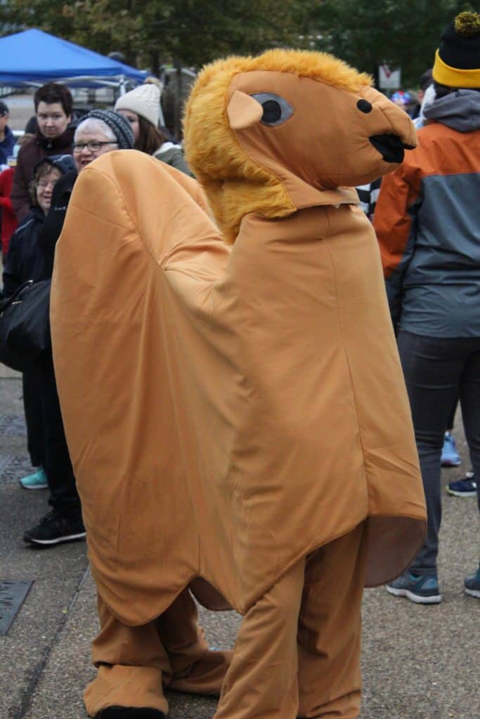 Halloween activities Pittsburgh