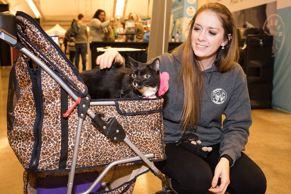 Pittsburgh Pet Expo brings stunt shows, races, adoption opportunities