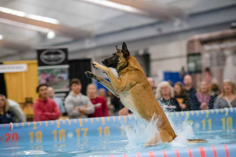 Pittsburgh Pet Expo
