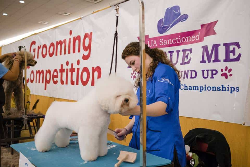Pittsburgh Pet Expo