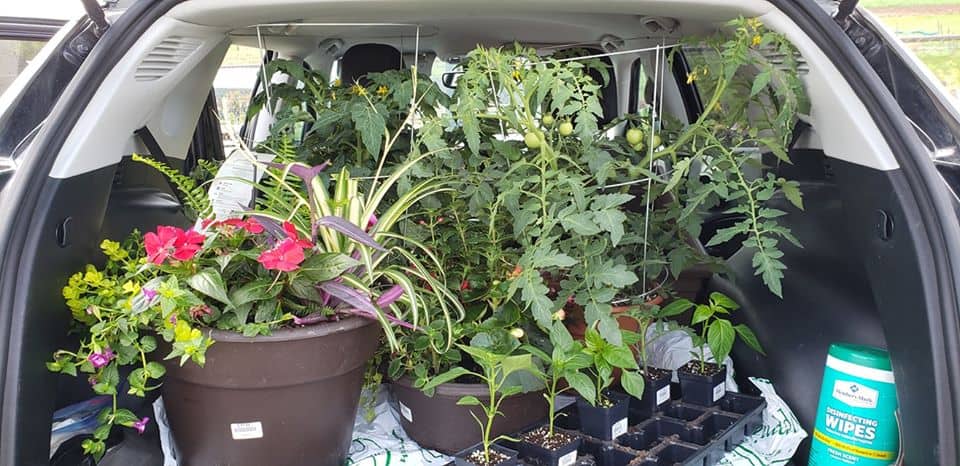 Essential farm box