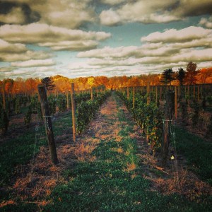 fall bucket list wineries near pittsburgh hundley winery