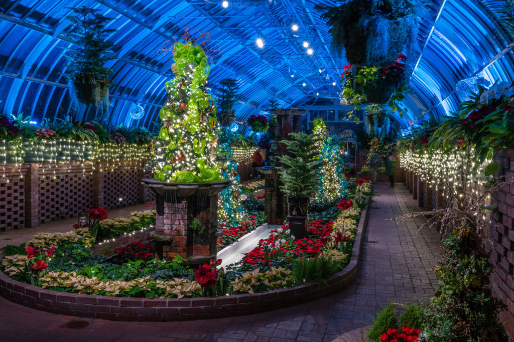 Holiday Cheer Blooms at Phipps’ Winter Flower Show Made In PGH