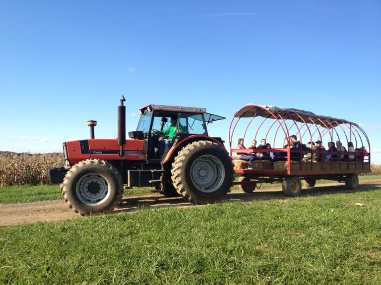 Celebrate Fall at Trax Farms! Made In PGH