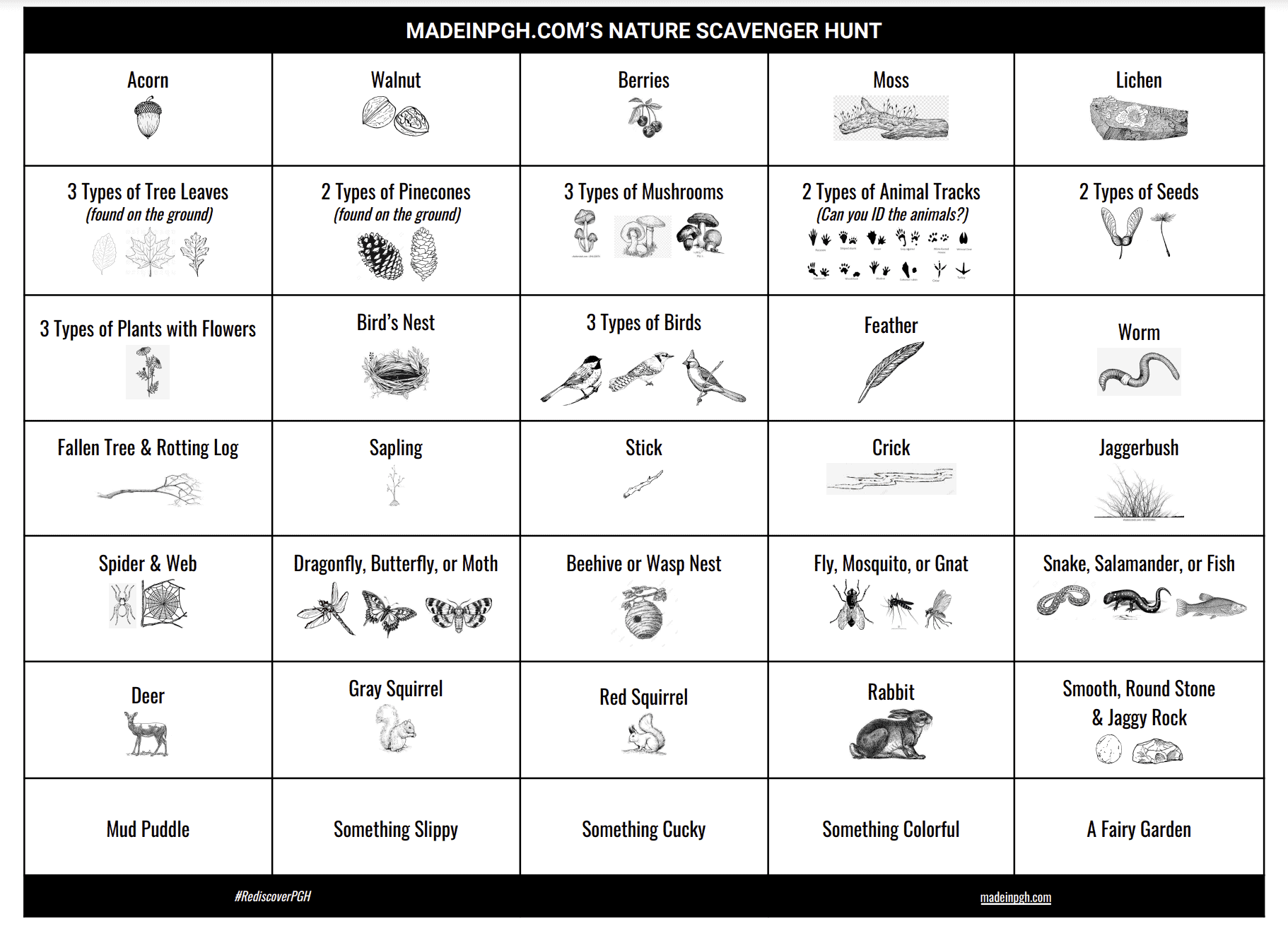 Family-Friendly Nature Scavenger Hunt - Made In PGH