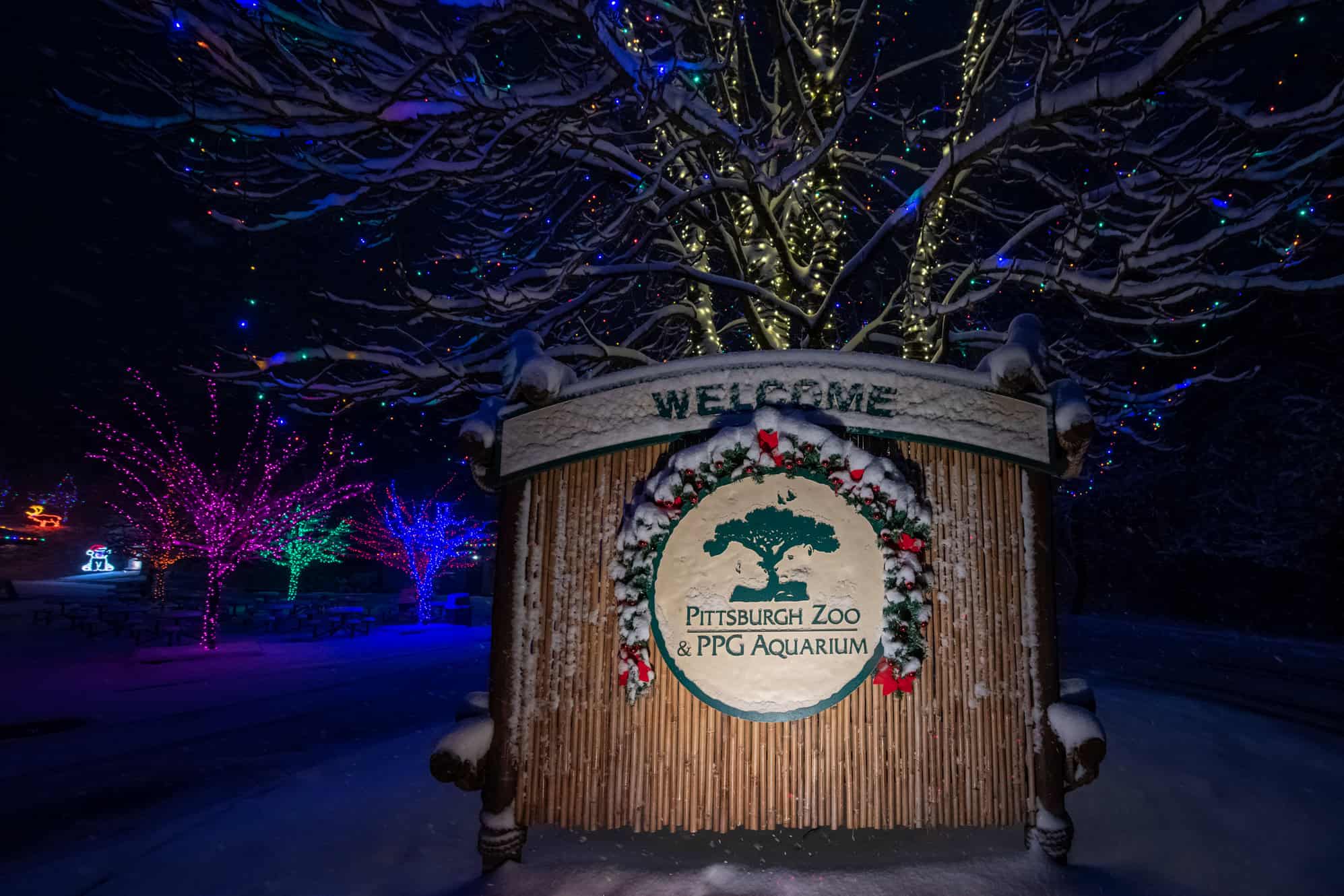 DriveThru Dazzling Lights at the PPG Zoo! Made In PGH