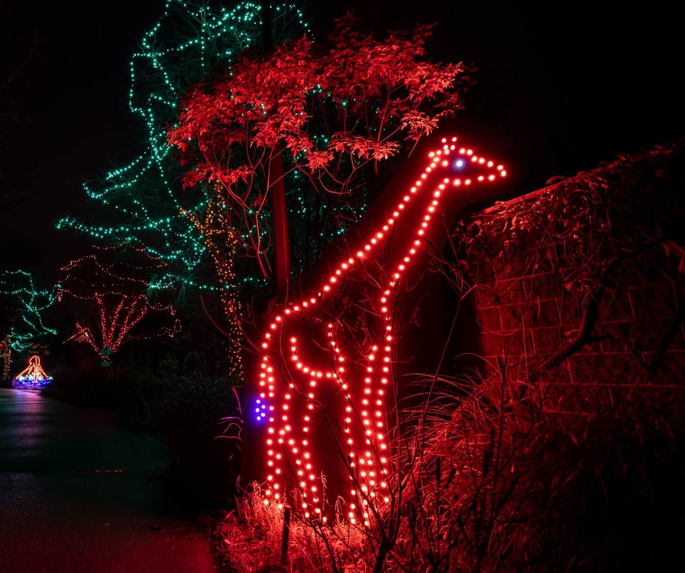 DriveThru Dazzling Lights at the PPG Zoo! Made In PGH