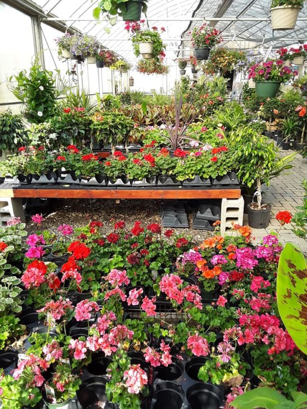 Happy Greenhouse Hunting Pittsburgh! Made In PGH