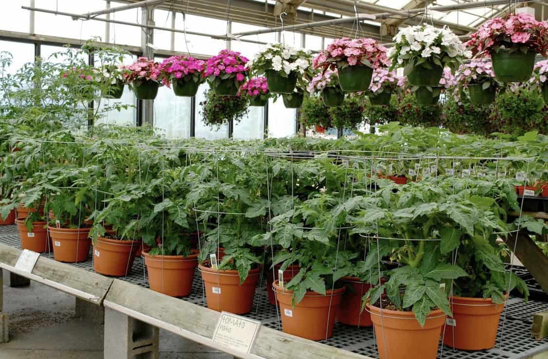 Happy Greenhouse Hunting Pittsburgh! Made In PGH