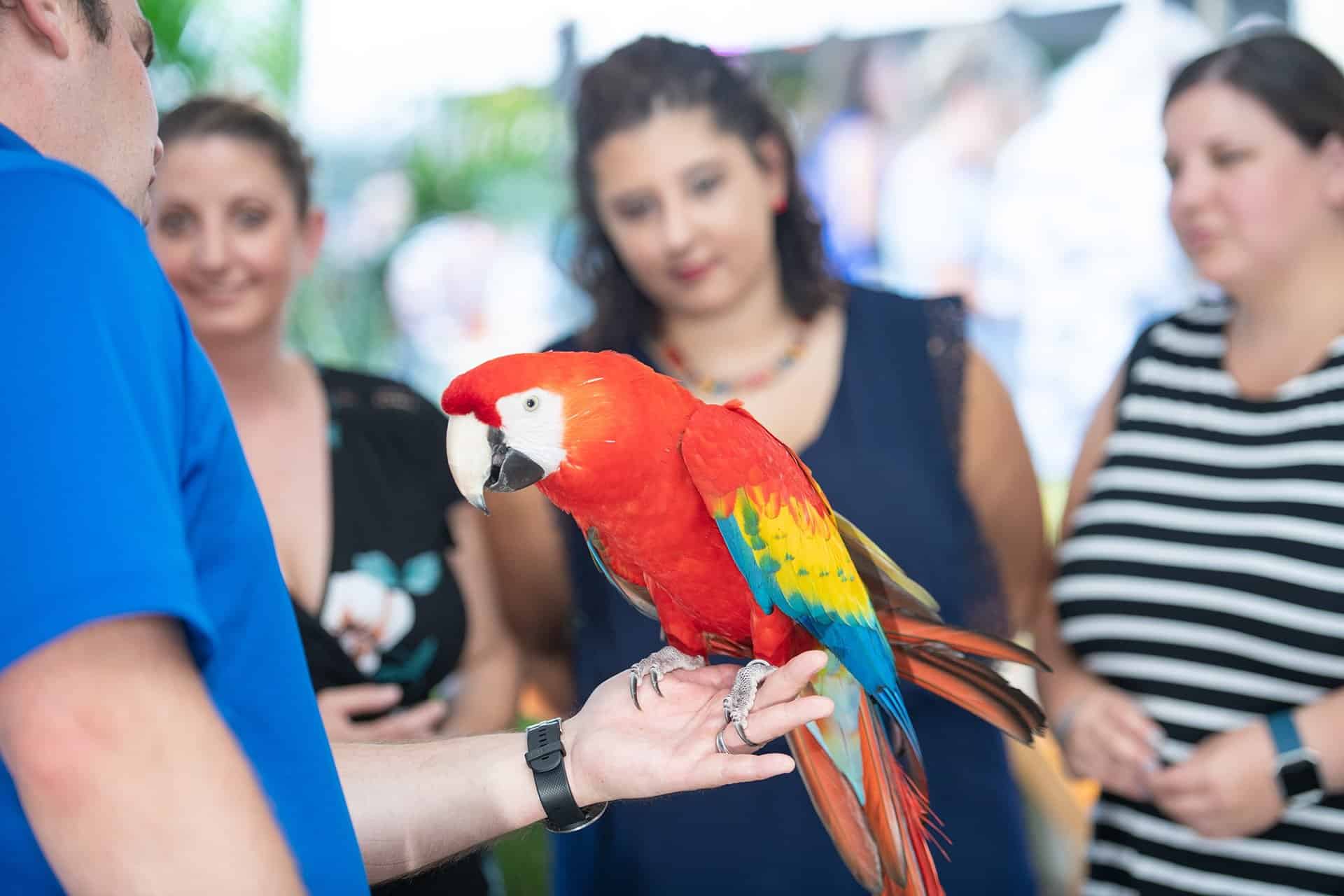 Night In The Tropics: Vintage Vacation At The National Aviary! - Made ...