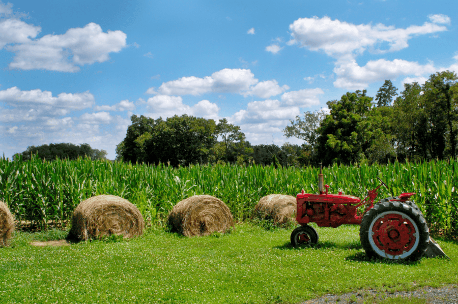 Trax Farms Fall Events are here! Made In PGH