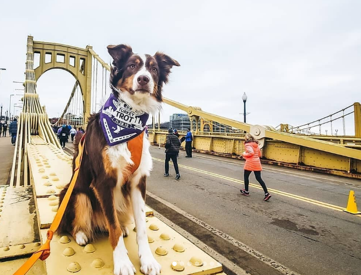 Your Guide to Pittsburgh’s Turkey Trot Made In PGH