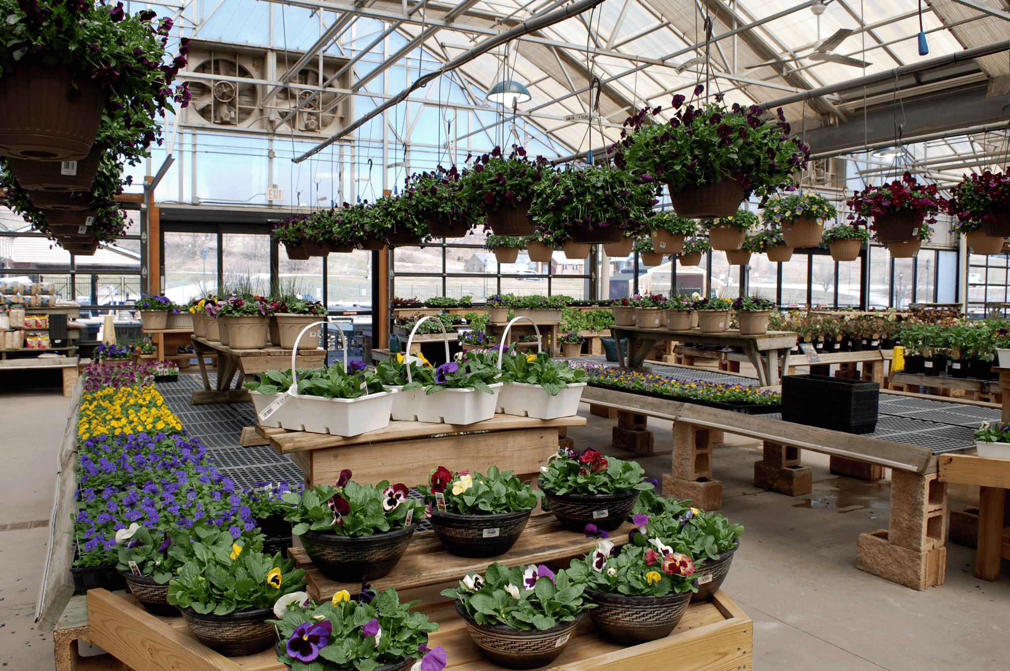 A photo of flowers in different types of baskets at Trax Farms.