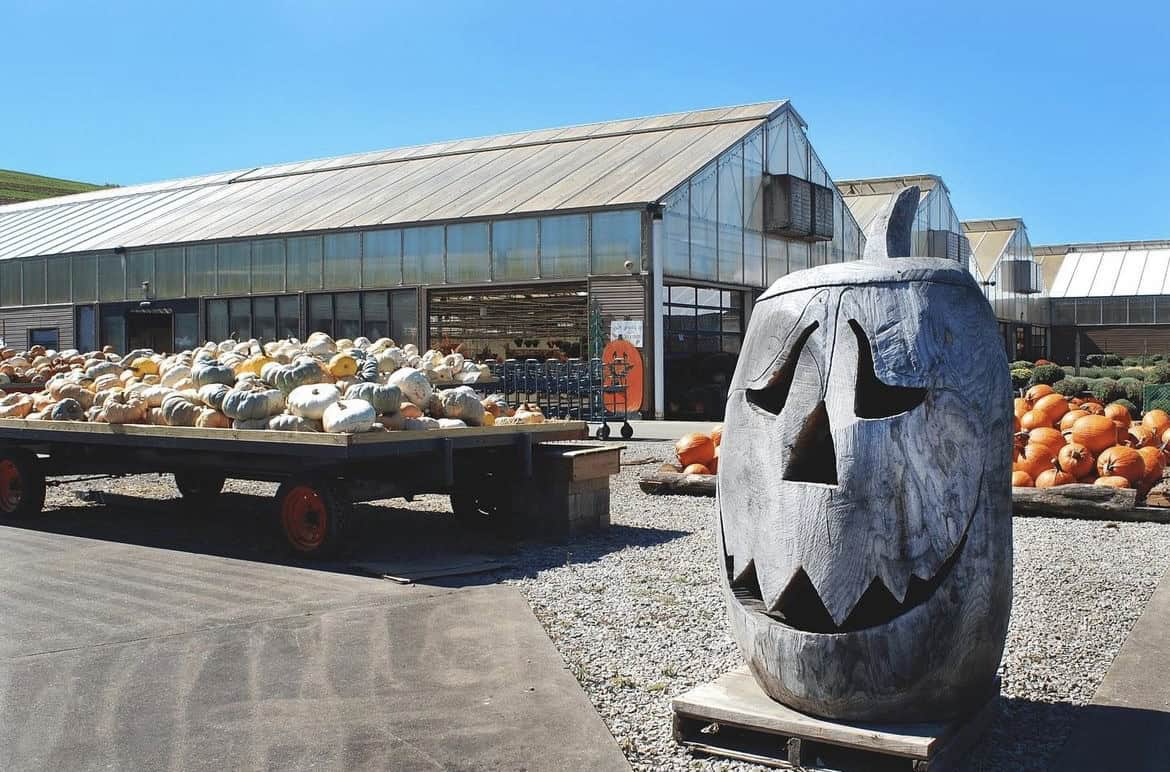 A photo of a wooden carved pumpkin at Trax Farms. Pumpkins and greenhouses are in the background.