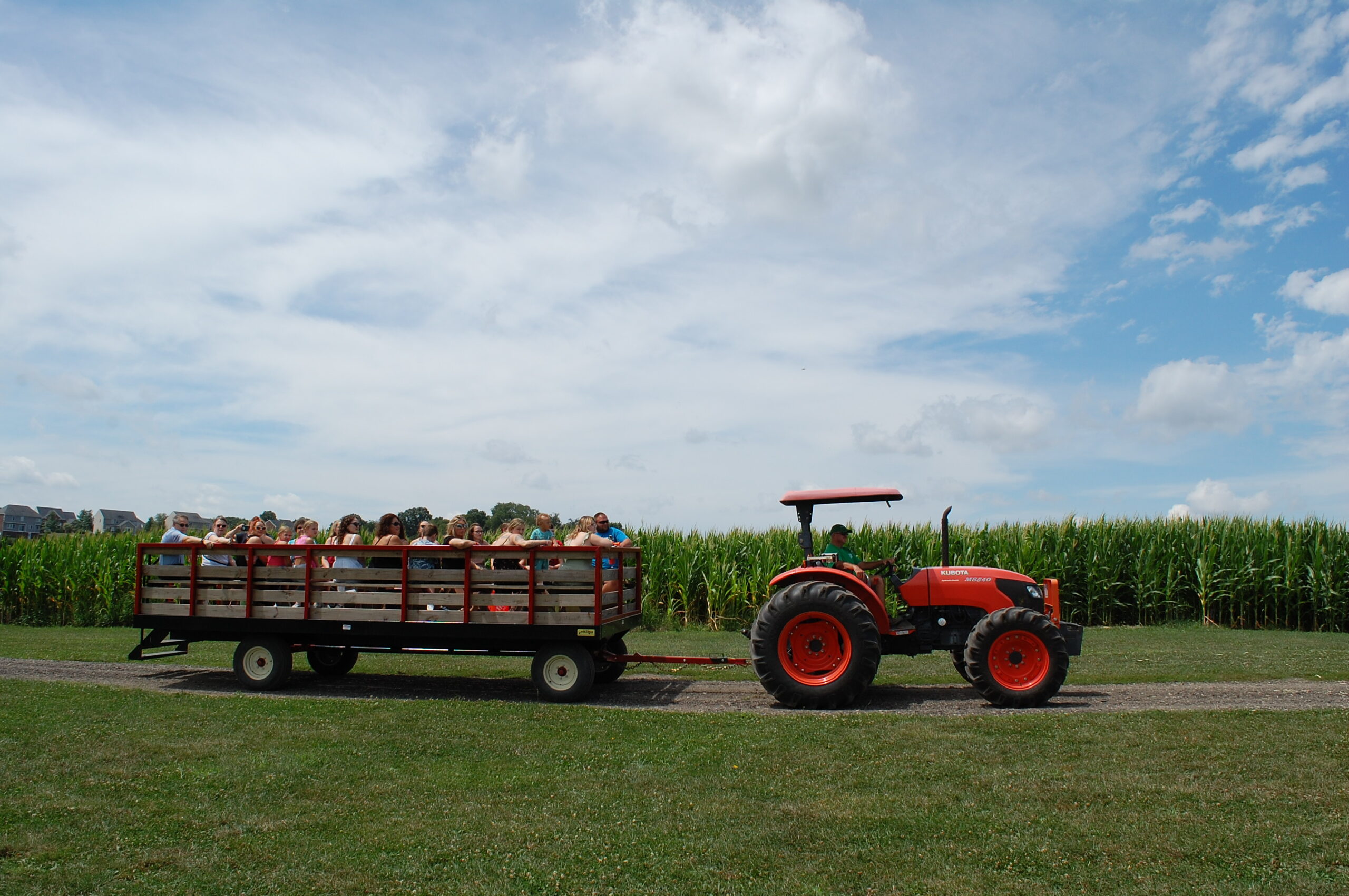 A photo of a red tractor pulling a hayride next to a corn field at Trax Farms.