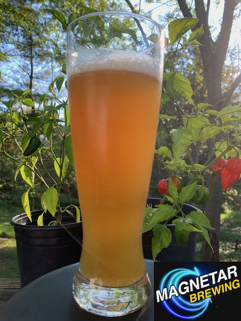A photo of a brew in a tall glass at Magnetar Brewing.