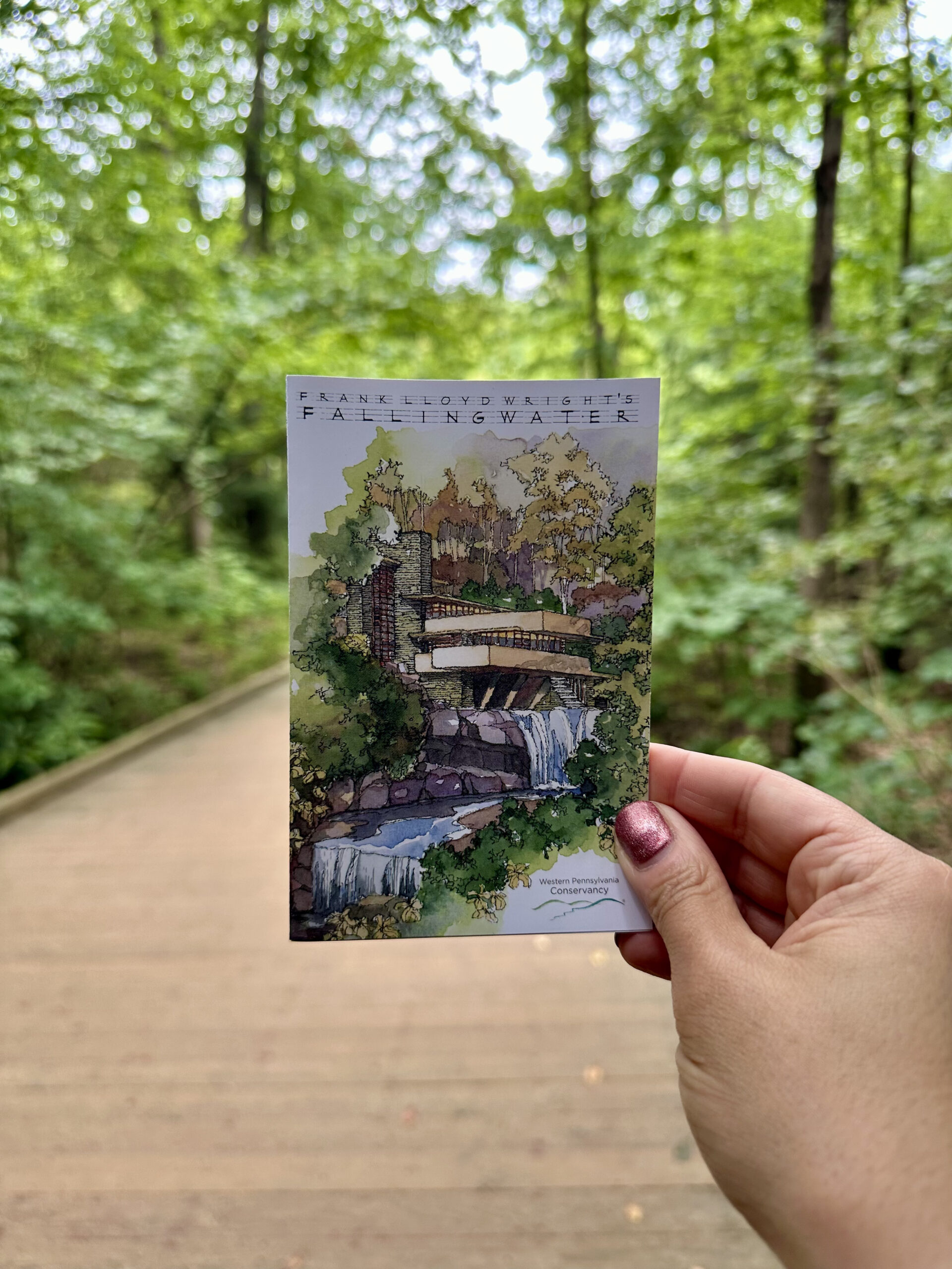 A photo of a woman holding up a postcard art print of Fallingwater in the woods.