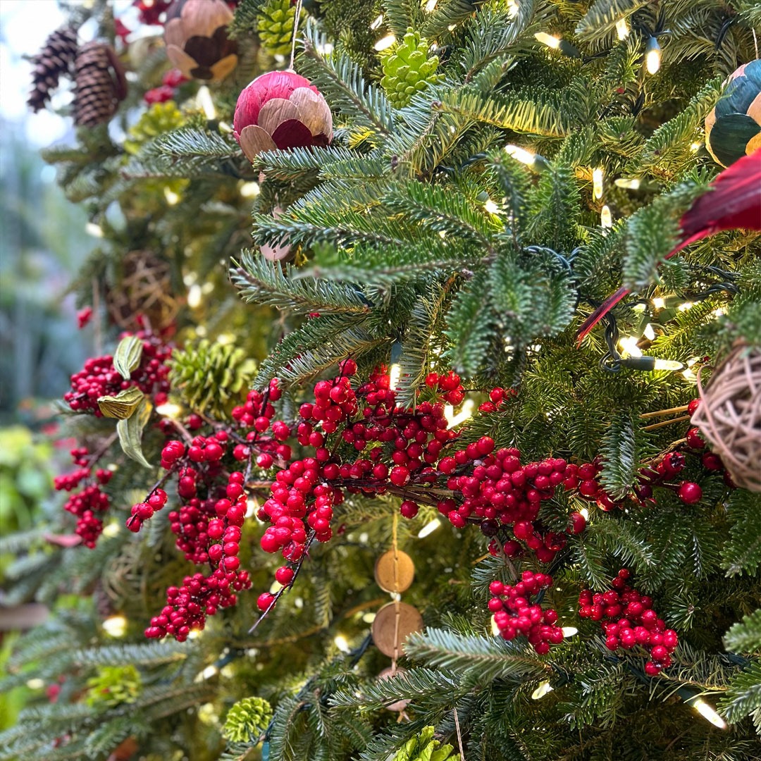 A photo of a pine tree decorated with berries and other natural ornaments.