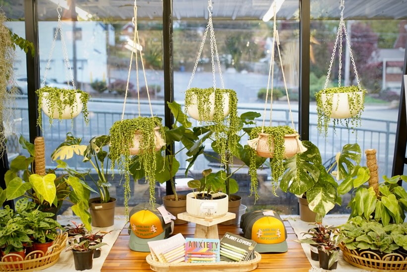 A photo of houseplants available at Ruby Flora Plant Shop.